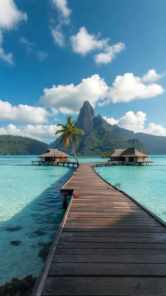 crystal sands maldives + lavender dubai