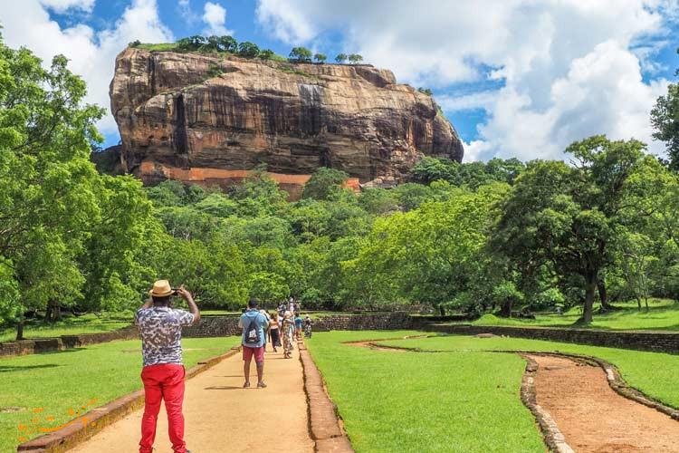 the ocean colombo/the tree of life kandy/hotel hibiscus beach